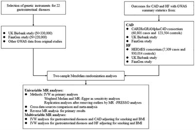 Causal association between gastrointestinal diseases and coronary artery disease: a bidirectional Mendelian randomization study